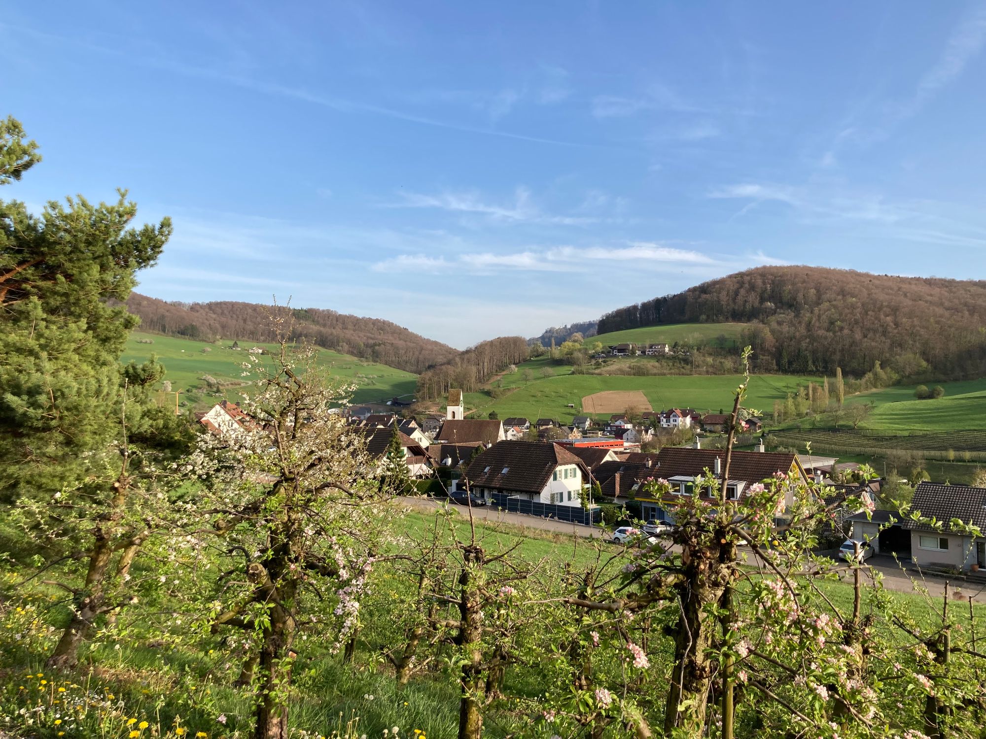 Kommunität... - Kommunität Diakonissenhaus Riehen