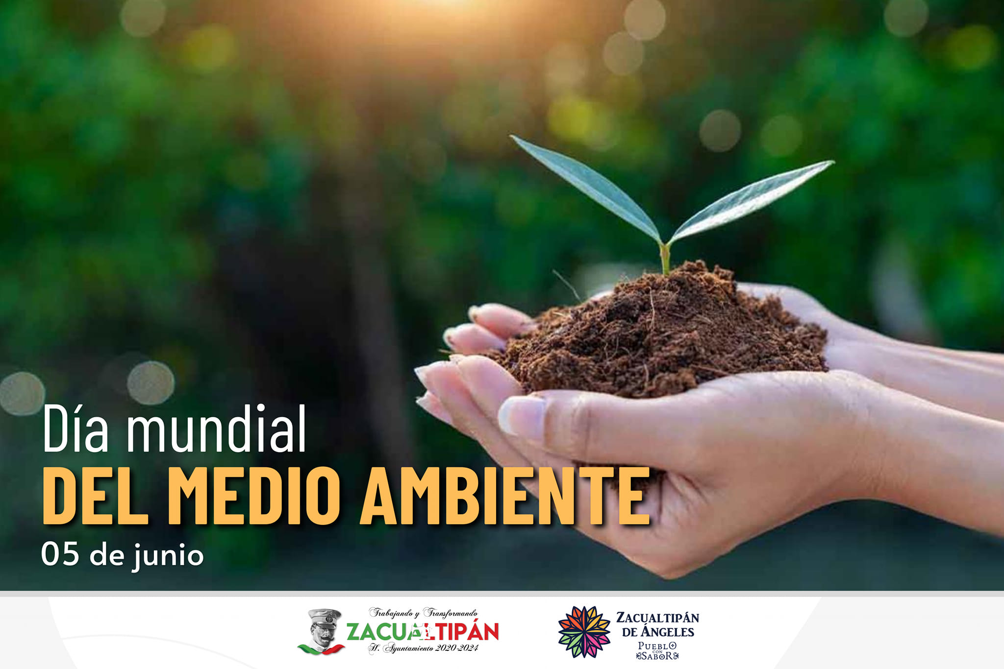 05 de junio | Día Mundial del Medio Ambiente El 5 de junio se celebra ...