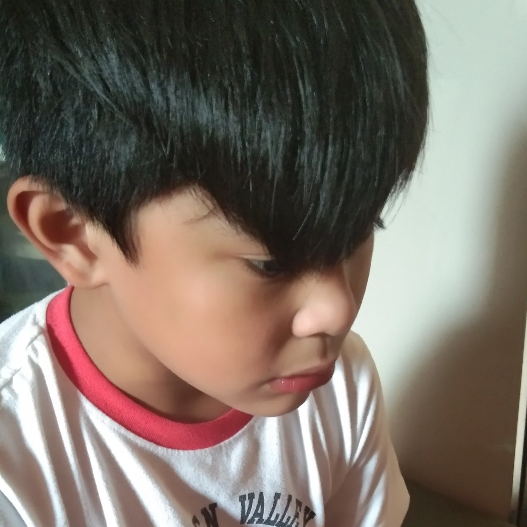 CKC Junior Rashid