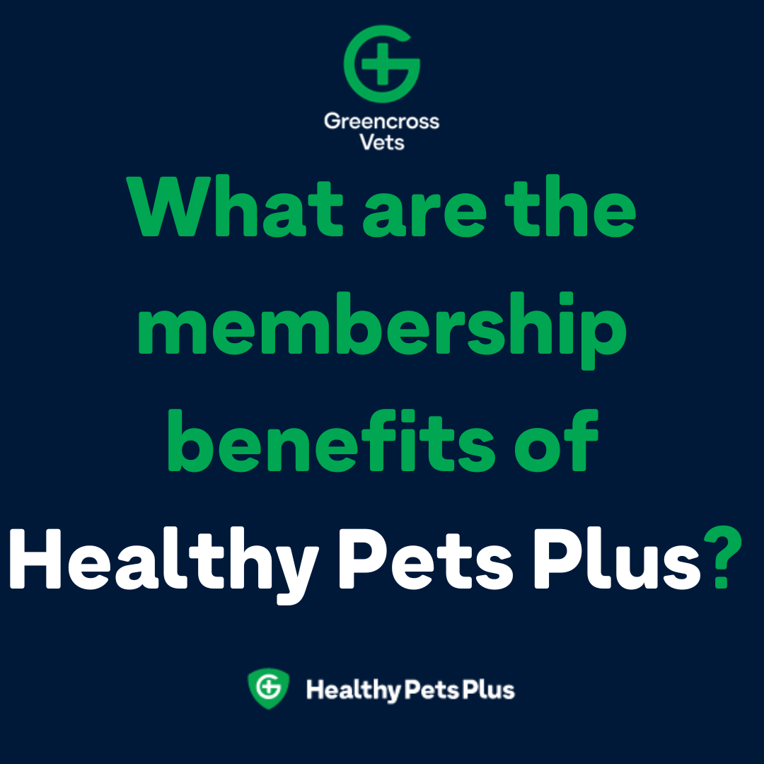 Greencross Vets - What is Healthy Pets Plus? Simple. It’s...