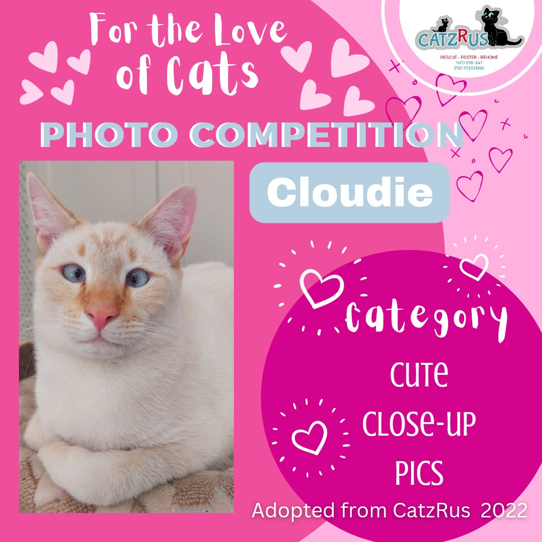 🐾 JOIN OUR EXCLUSIVE LOVE CATS PHOTO CONTEST GROUP