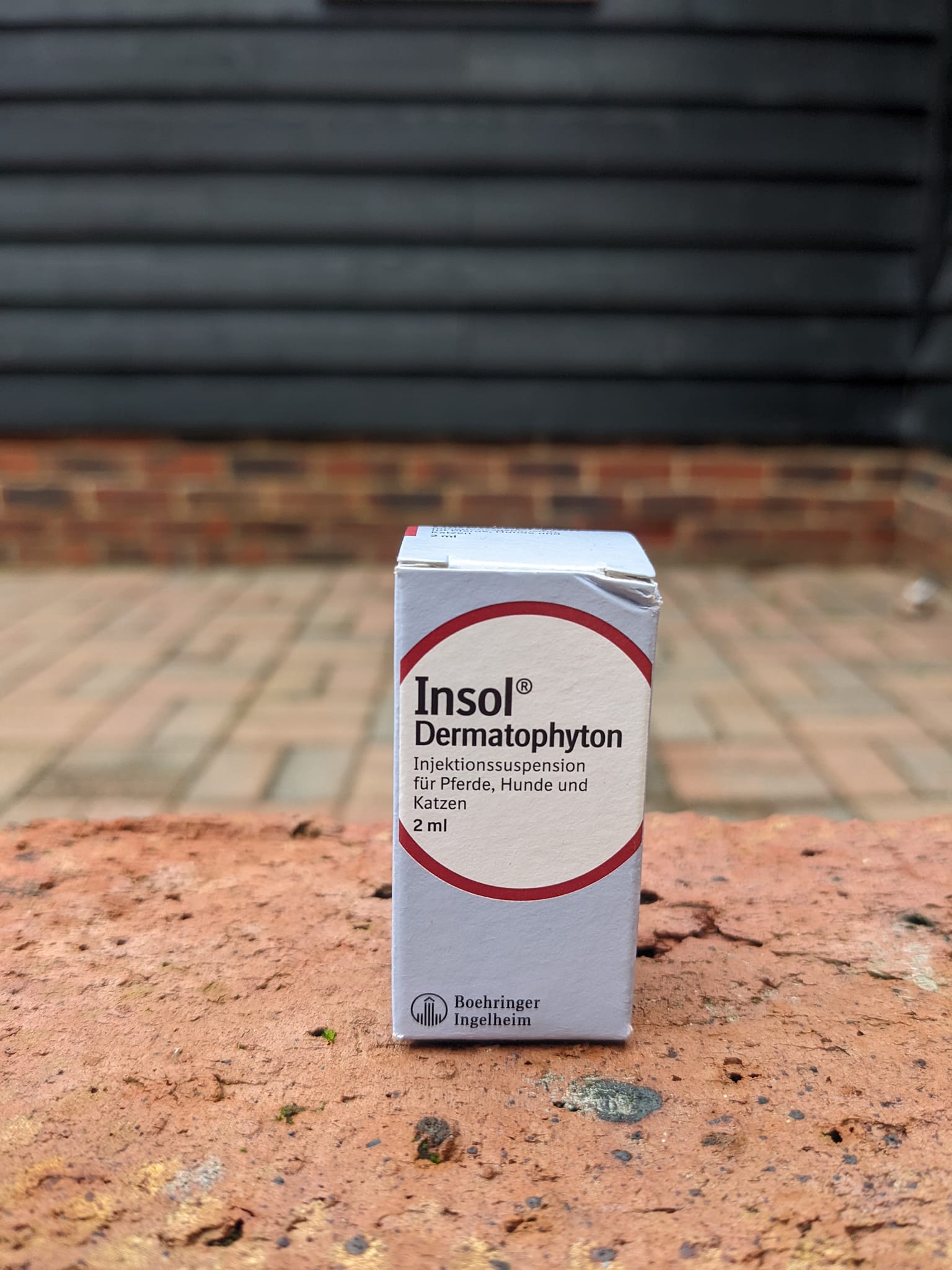 Blackdown - INSOL Vaccine for Sweet Itch Does your horse suffer from ...