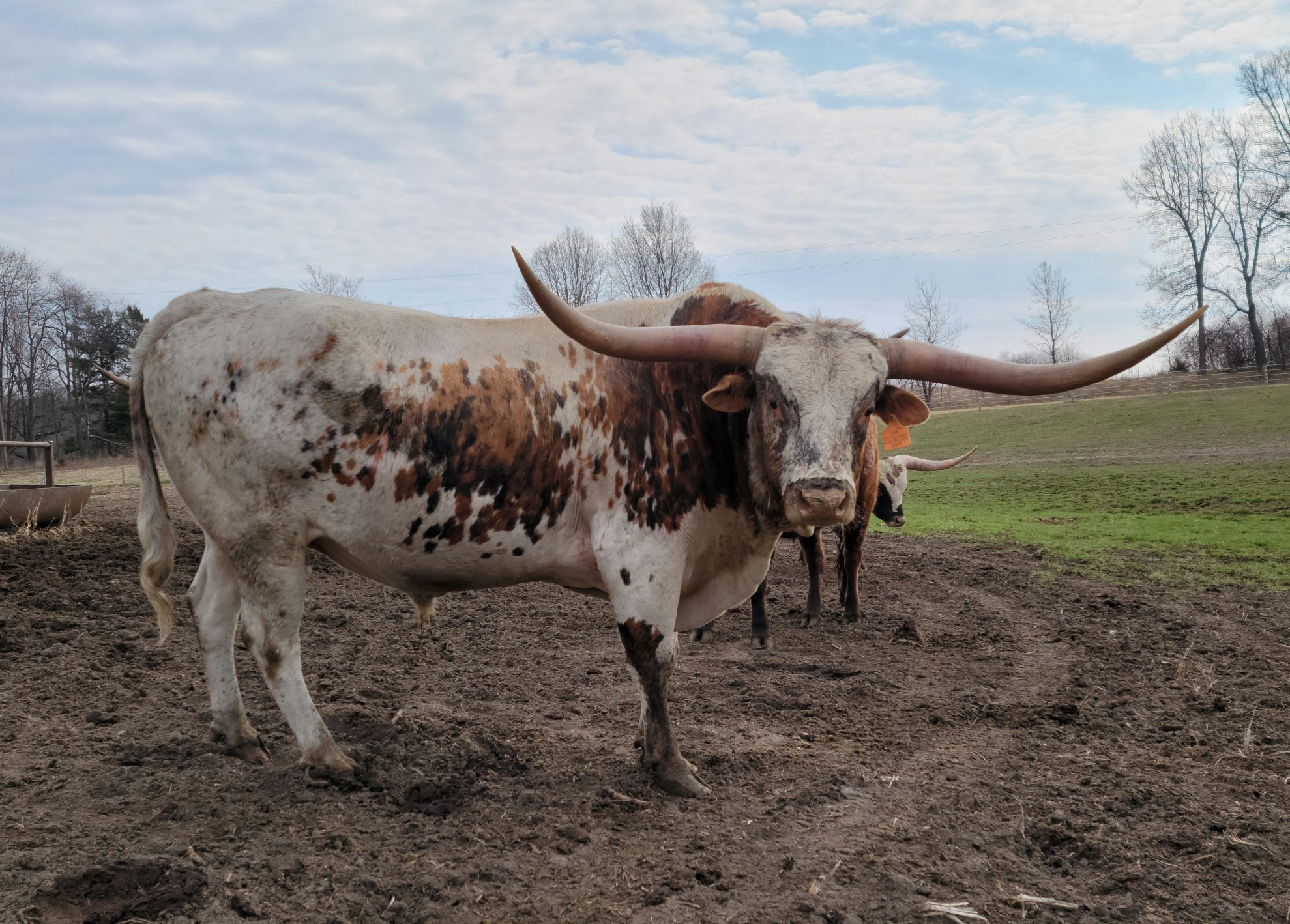 Triple-R-Ranch | Horton MI