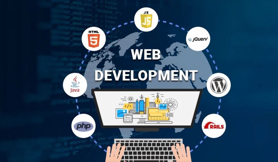 Web Developer