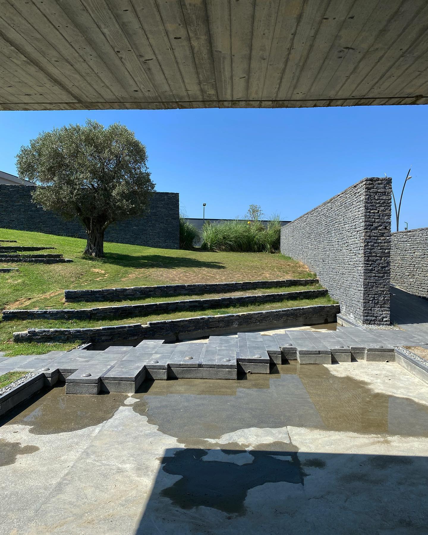 Archidia