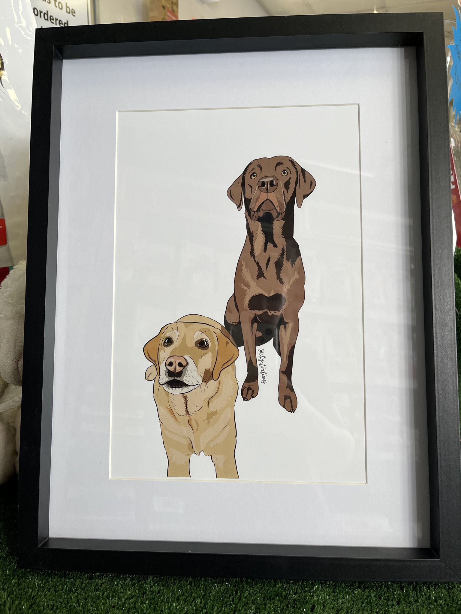 Our Pet illustration raffle... - Mount Croix Animal Clinic | Facebook