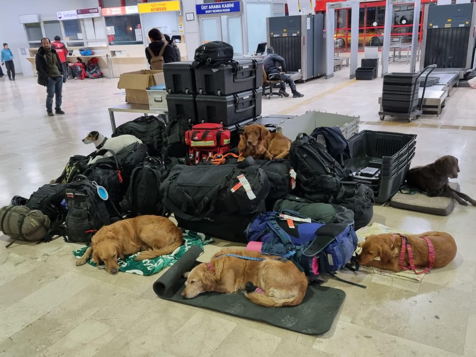 Tyfd-K9桃園搜救犬隊 - 超級英雄終於可以好好睡覺了！ #斯洛維尼亞救援隊搜救犬 照片源自：Roman Starman https ...