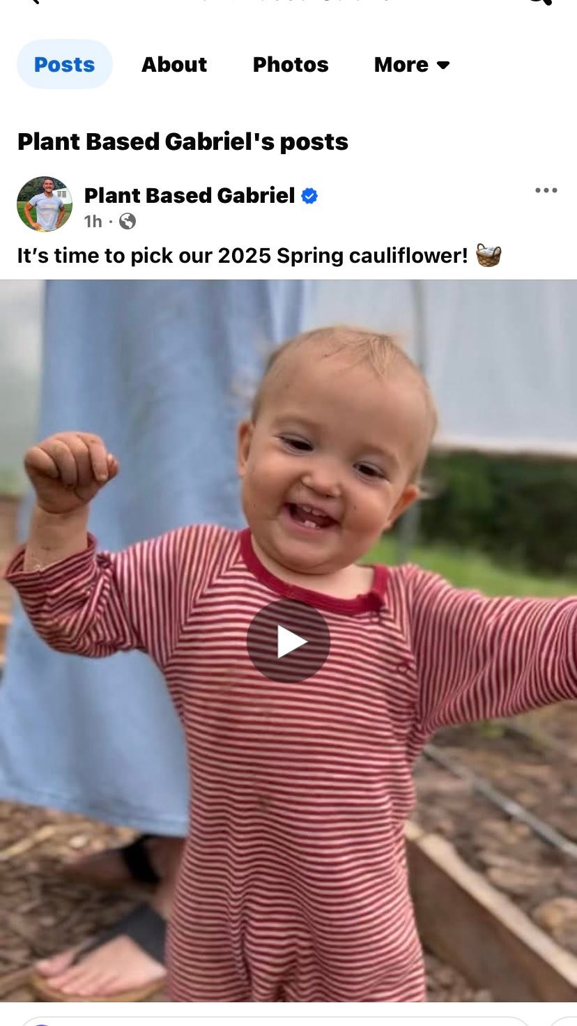 PBG Not So Funny Farm | Screenshots from latest cauliflower picking ...
