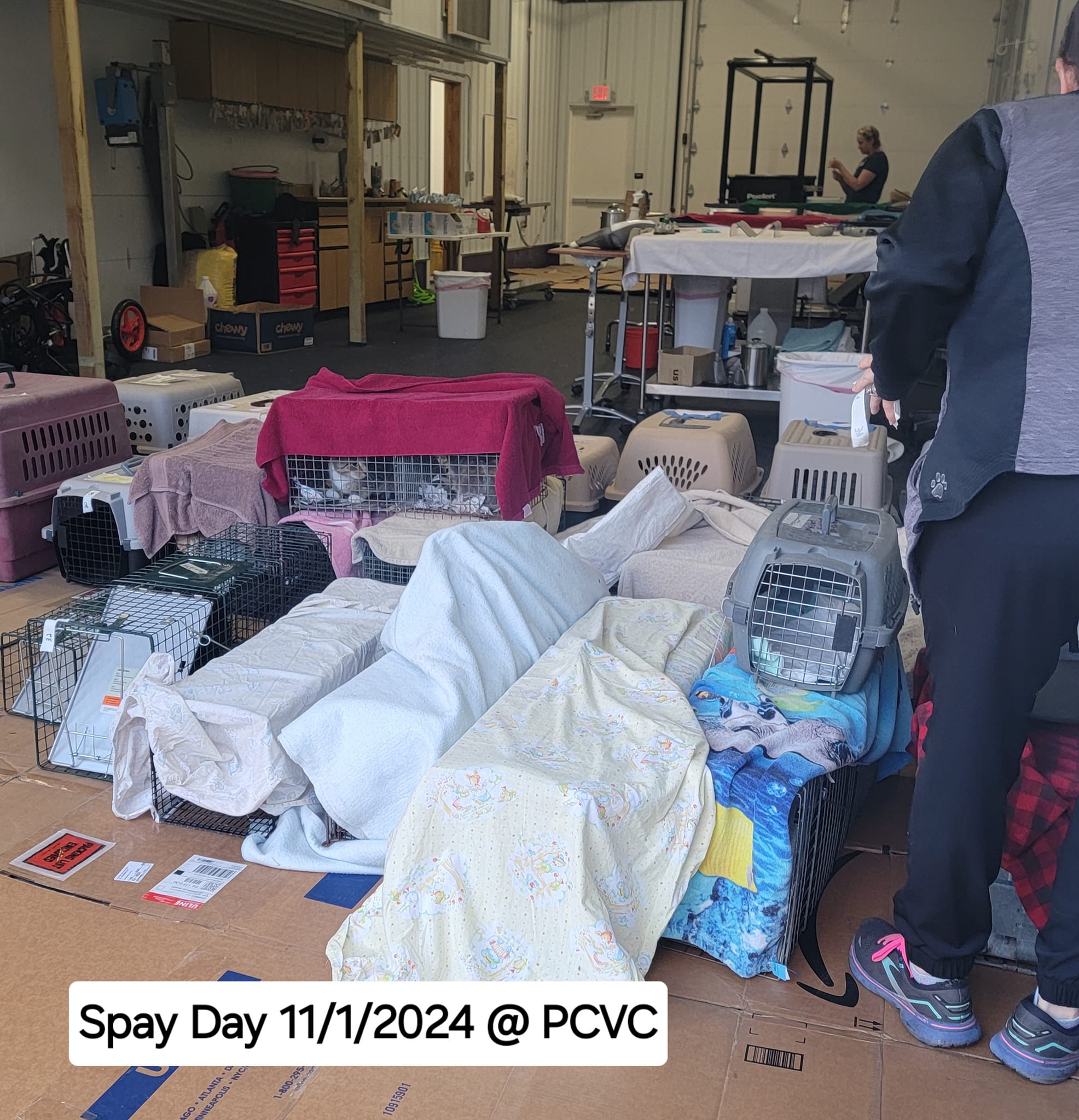 Our best Spay... - Potter County Animal Assistance Project