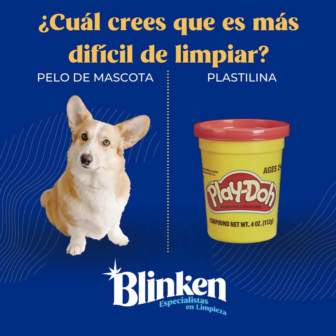 Grupo Blinken - 😊👍 ¡Para Blinken ninguna! Limpiamos tus... | Facebook