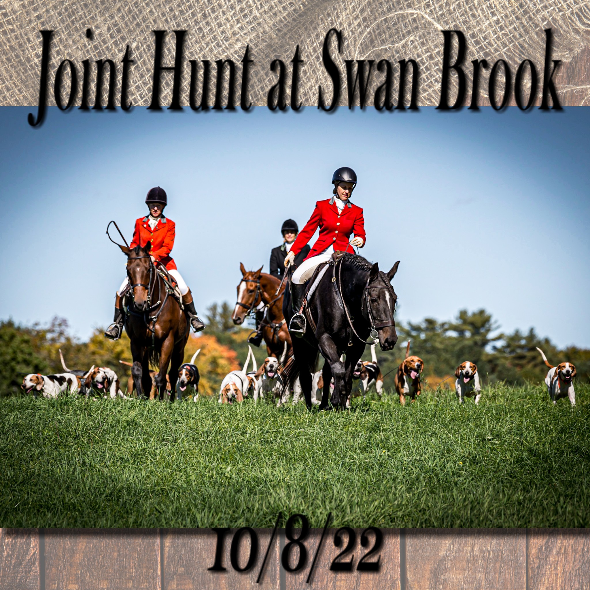 Photos from the Joint Hunt at... - Suddenly Still Photography | Facebook