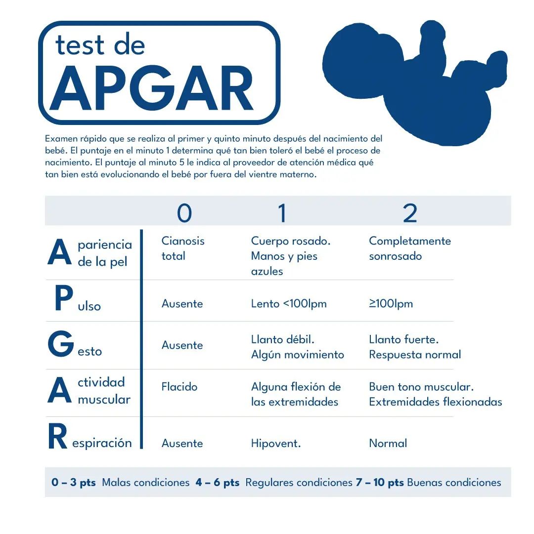 La prueba de #apgar es un examen... - Enfermeriaparatodos | Facebook