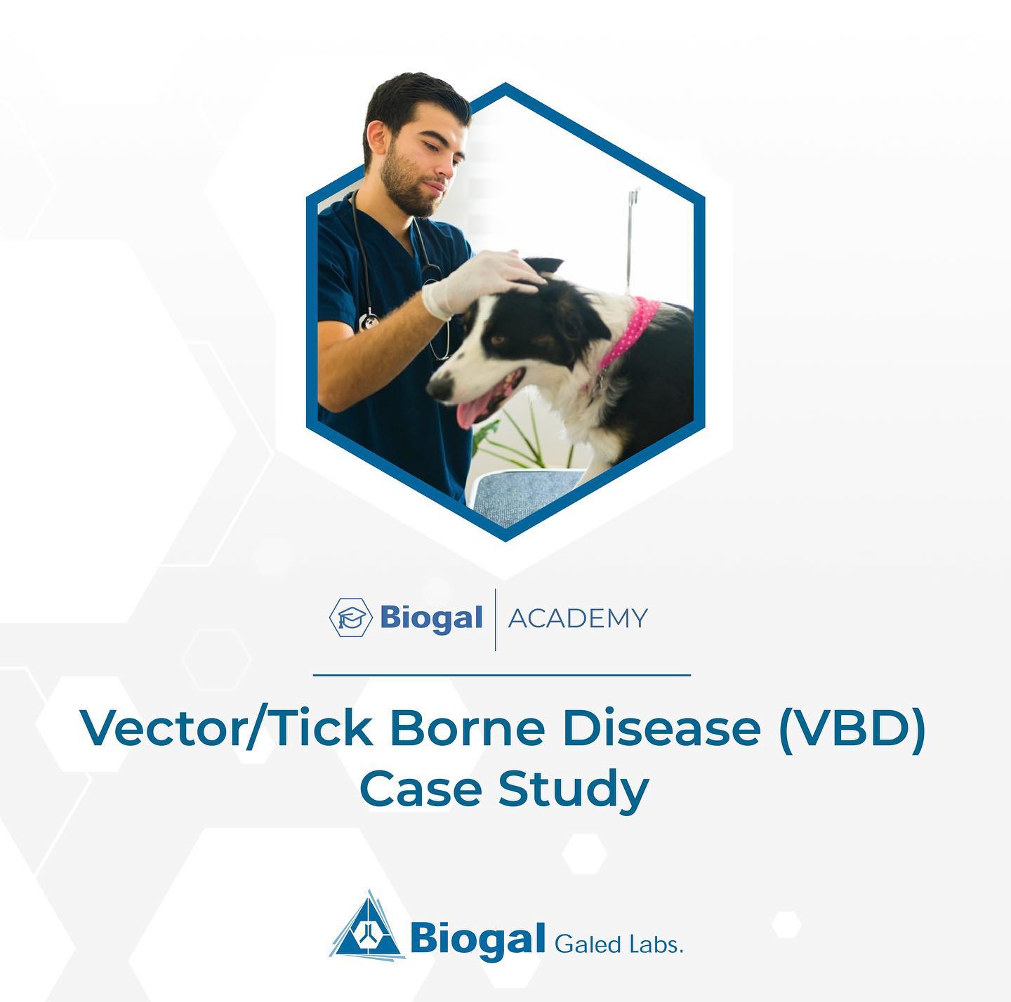 Biogal - 🐕Our latest #casestudy describes the story of... | Facebook