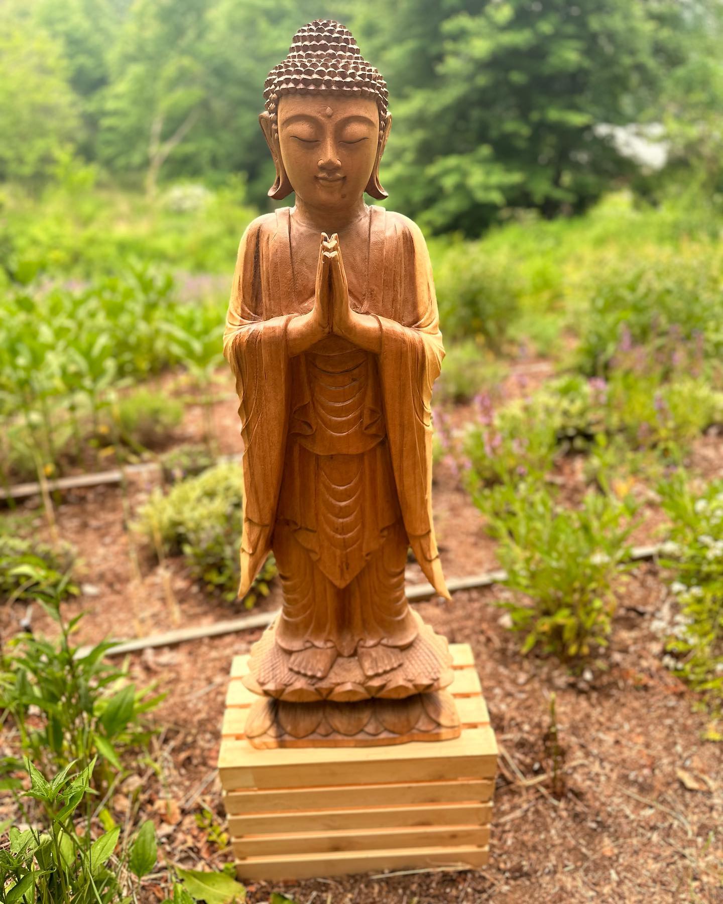 ☀️Solstice Buddha... - Tweefontein Herb Farm in New Paltz