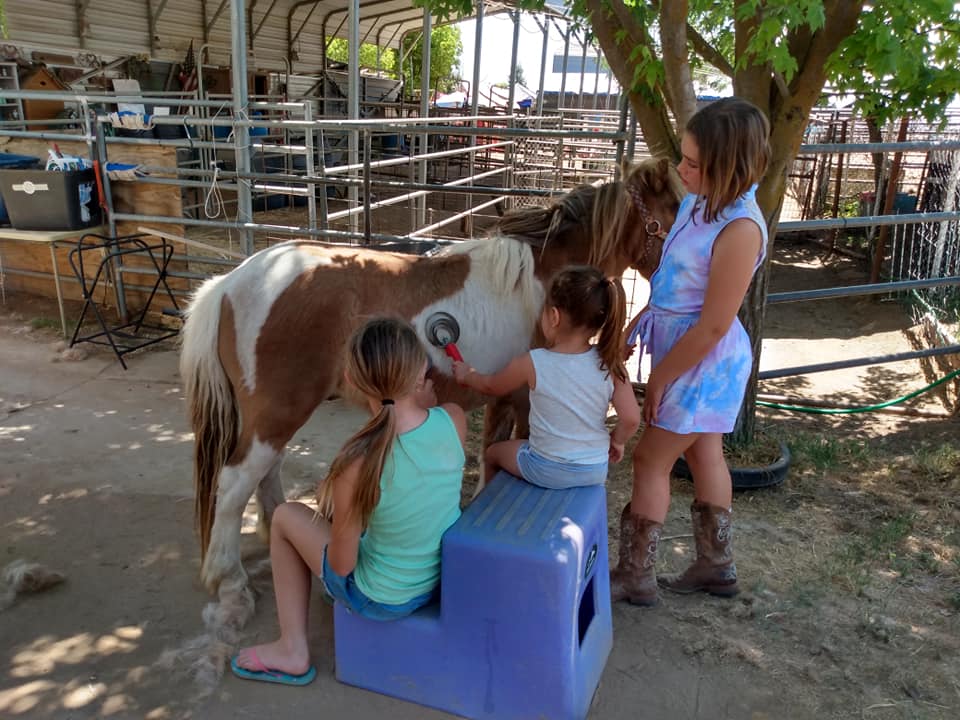 Twisted Bit Ranch Madera | Madera CA