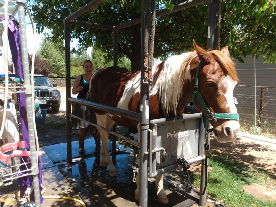 Twisted Bit Ranch Madera | Madera CA