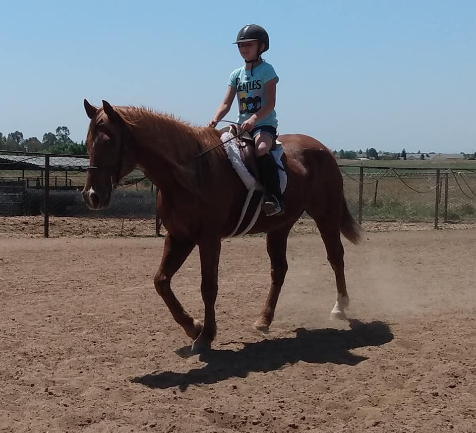 Twisted Bit Ranch Madera - Home