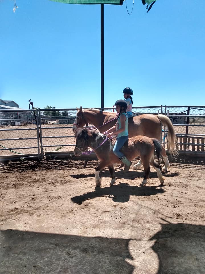Twisted Bit Ranch Madera - Home