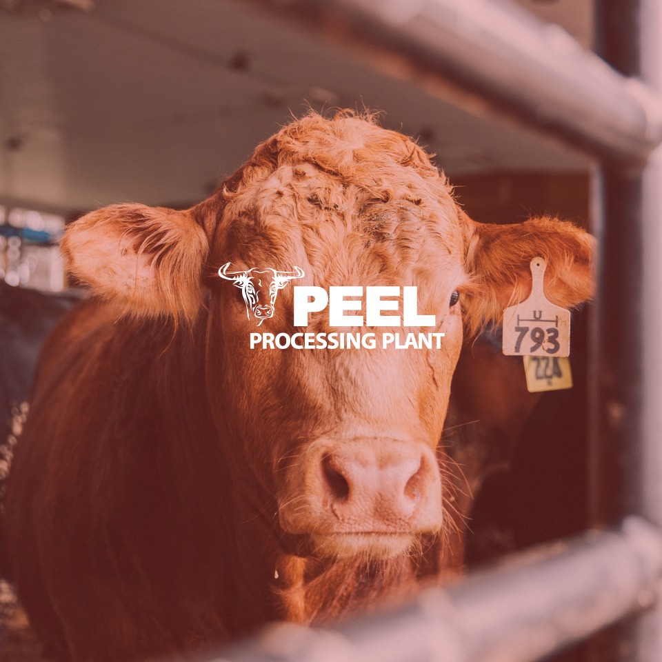 Peel Processing Plant | Waterloo ON