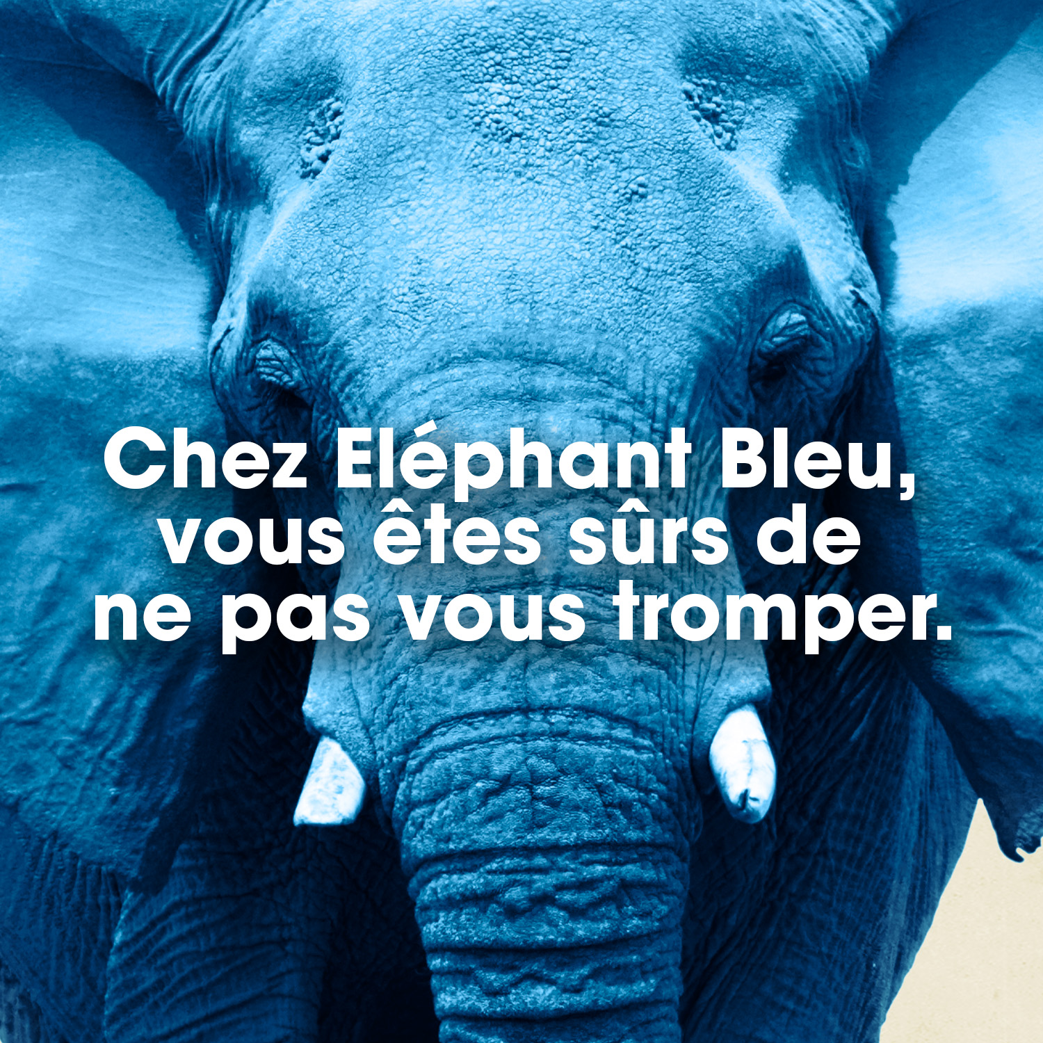 Combien De Temps Dure Un Jeton Eléphant Bleu