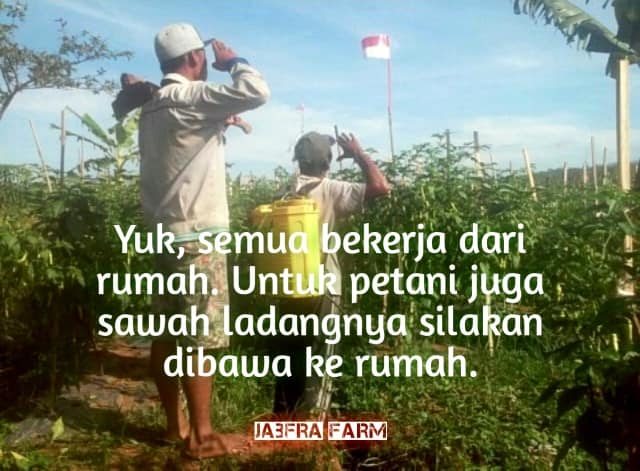 Solusi Pertanian Dan Peternakan Posts Facebook