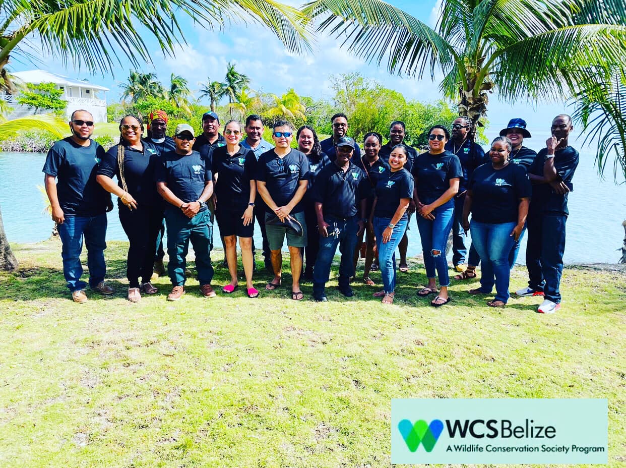 WCS Belize - Meet the members of our hardworking WCS... | Facebook