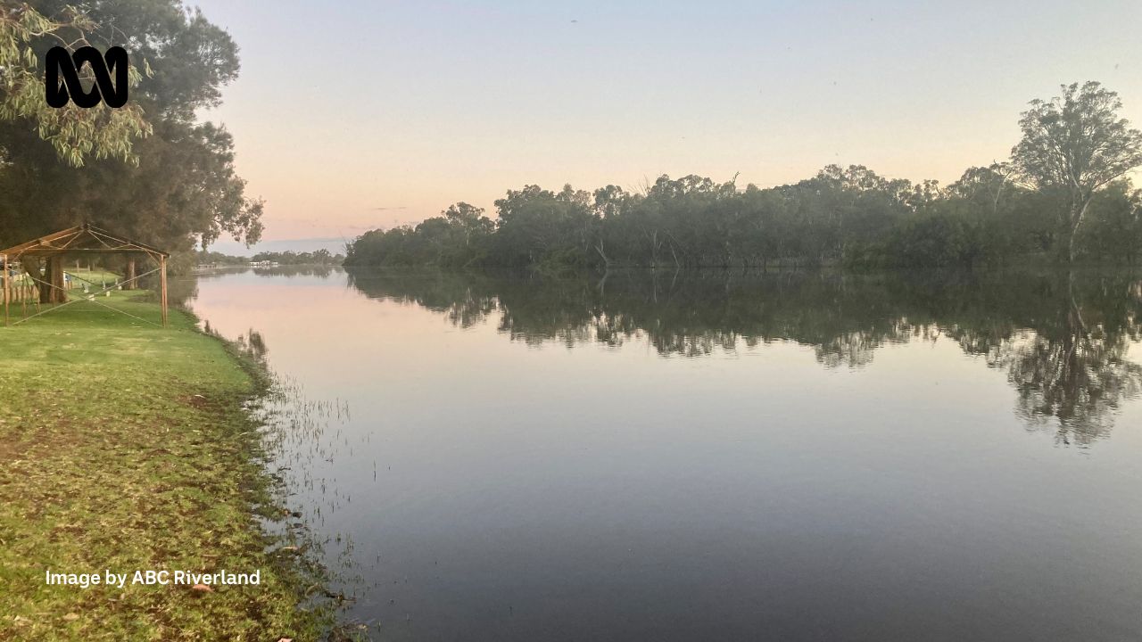 ABC Riverland - 🎥 The Murray River is in the spotlight...