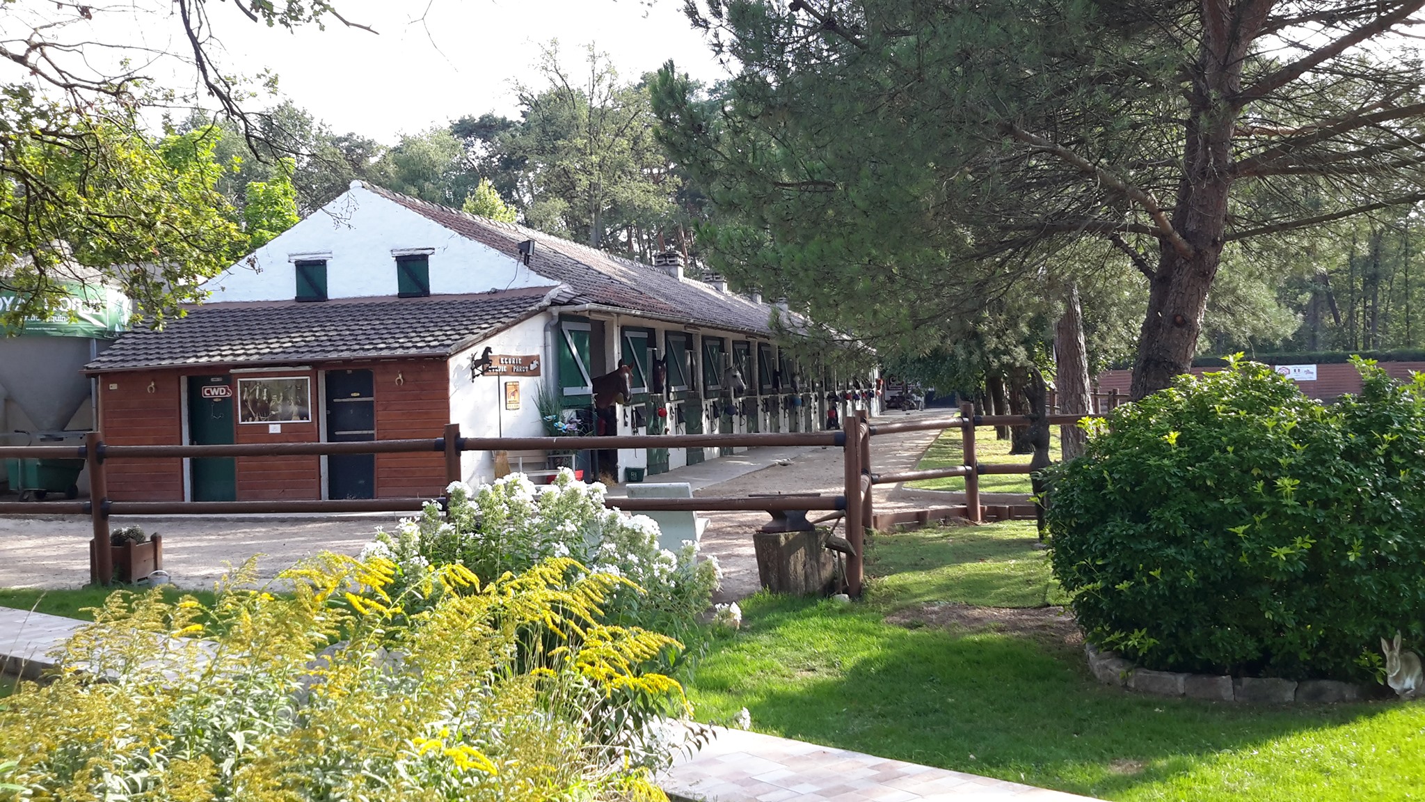 Haras du Petit Gatinais HPG - Venez nombreux! 🤩🥳 🐴Entrainement CSO ...