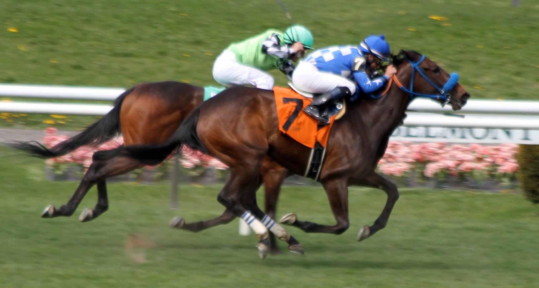 Dream Team Racing Stable