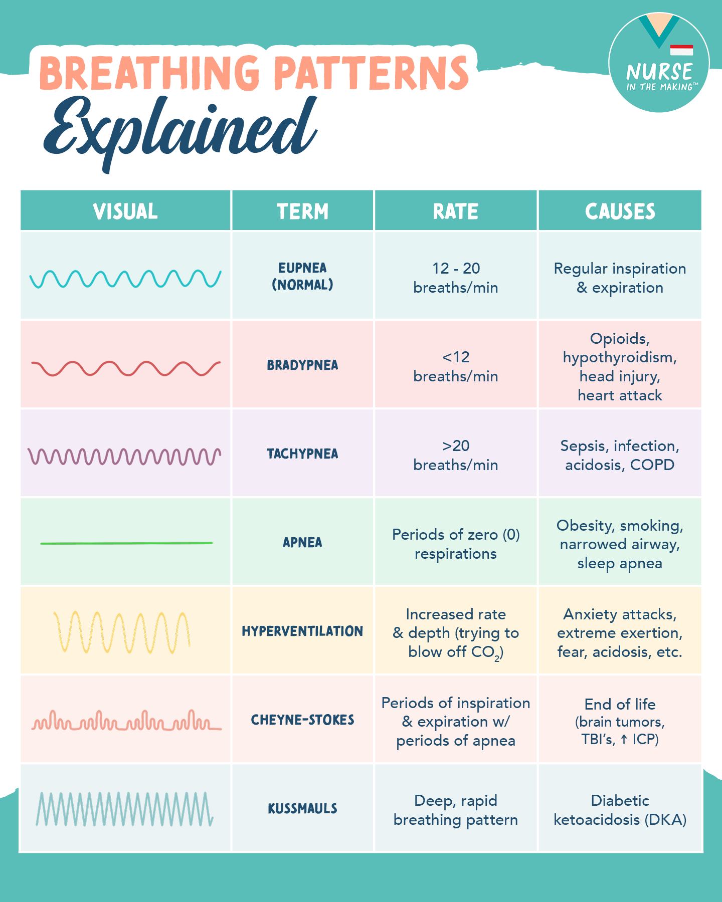 Nurse - Breathing Patterns Explained 🫁💨 Respirations are not typically ...