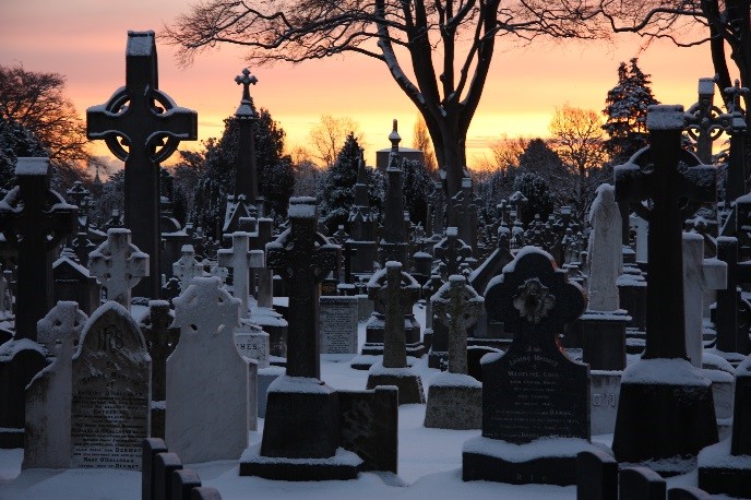 Experience Glasnevin - Ireland's National Cemetery - Thinking of doing ...