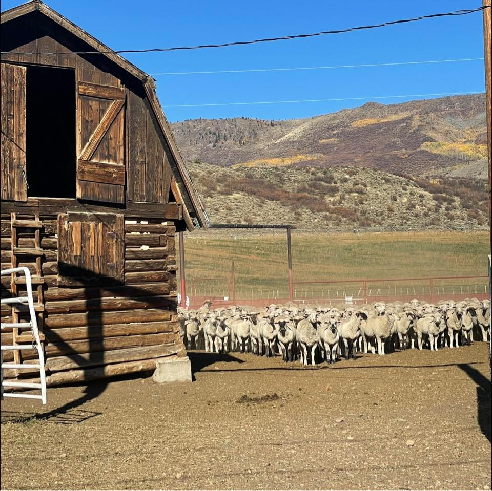 Ladder Ranch
