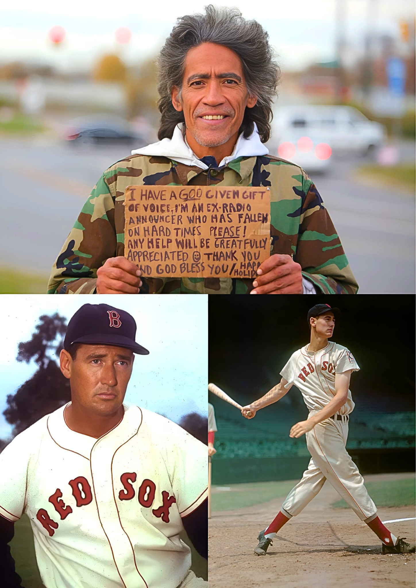 Ted Williams Frozen Head Controversy