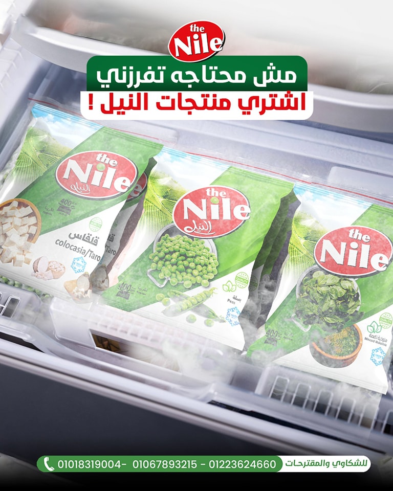 The Nile Egyptian | Damanhour
