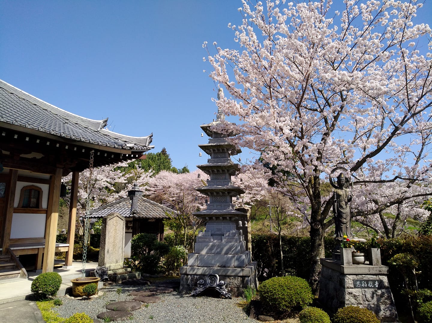 融通念佛宗布教師会 - 融通念佛宗布教師会 added a new photo.
