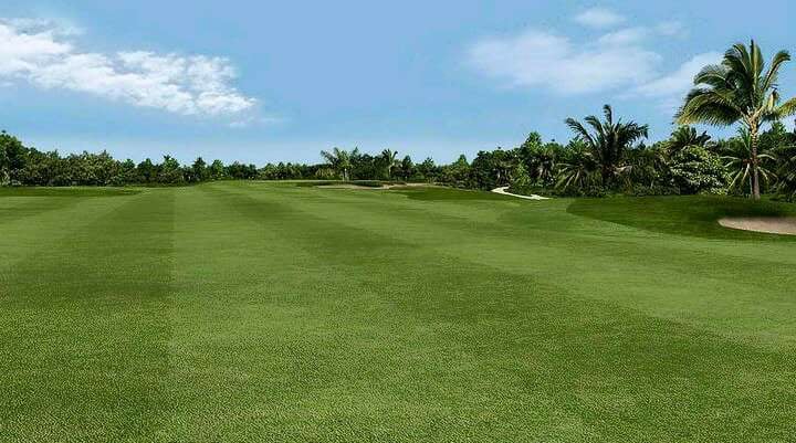 Spring turf enterprise | Lagos