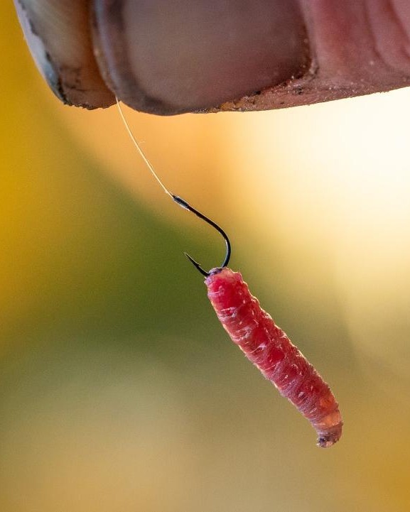 BobCo Tackle - 🔥New Product - Guru Match Ready Rigs🔥 The... | Facebook