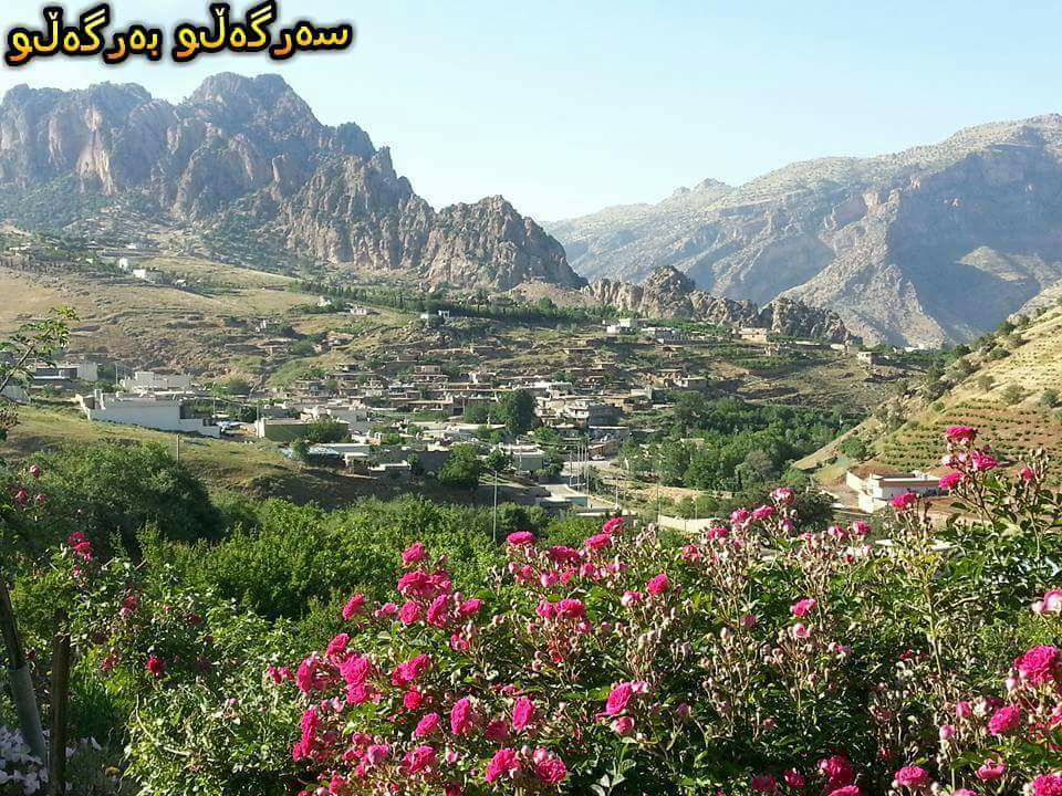 نانی تیری خونچە خانم - #سڵاو ' ئامادەین بۆدروست کردنی ھەموو جۆرە نانێک ...