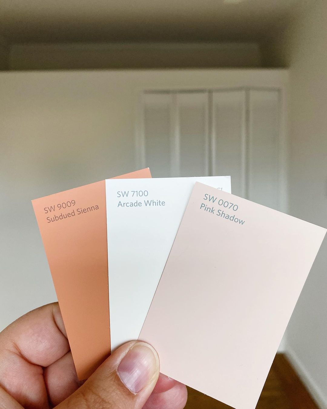 เลือกสีที่ใช่ในแบบที่ชอบแ... - Sherwin- Williams by Paintworks