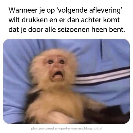 Download... - Grappige plaatjes, leuke memes en wijze spreuken