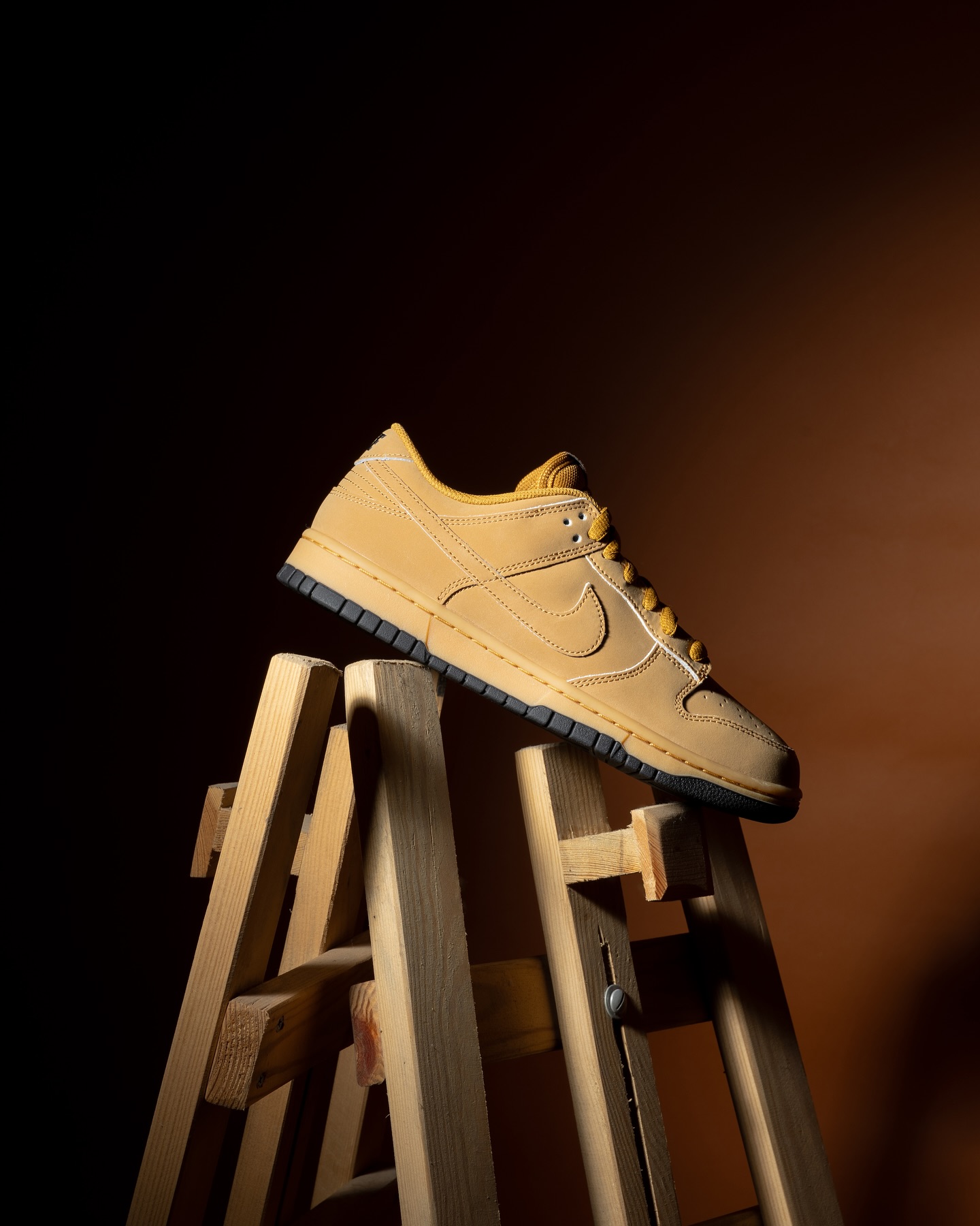 NIKE DUNK LOW RETRO SE 
