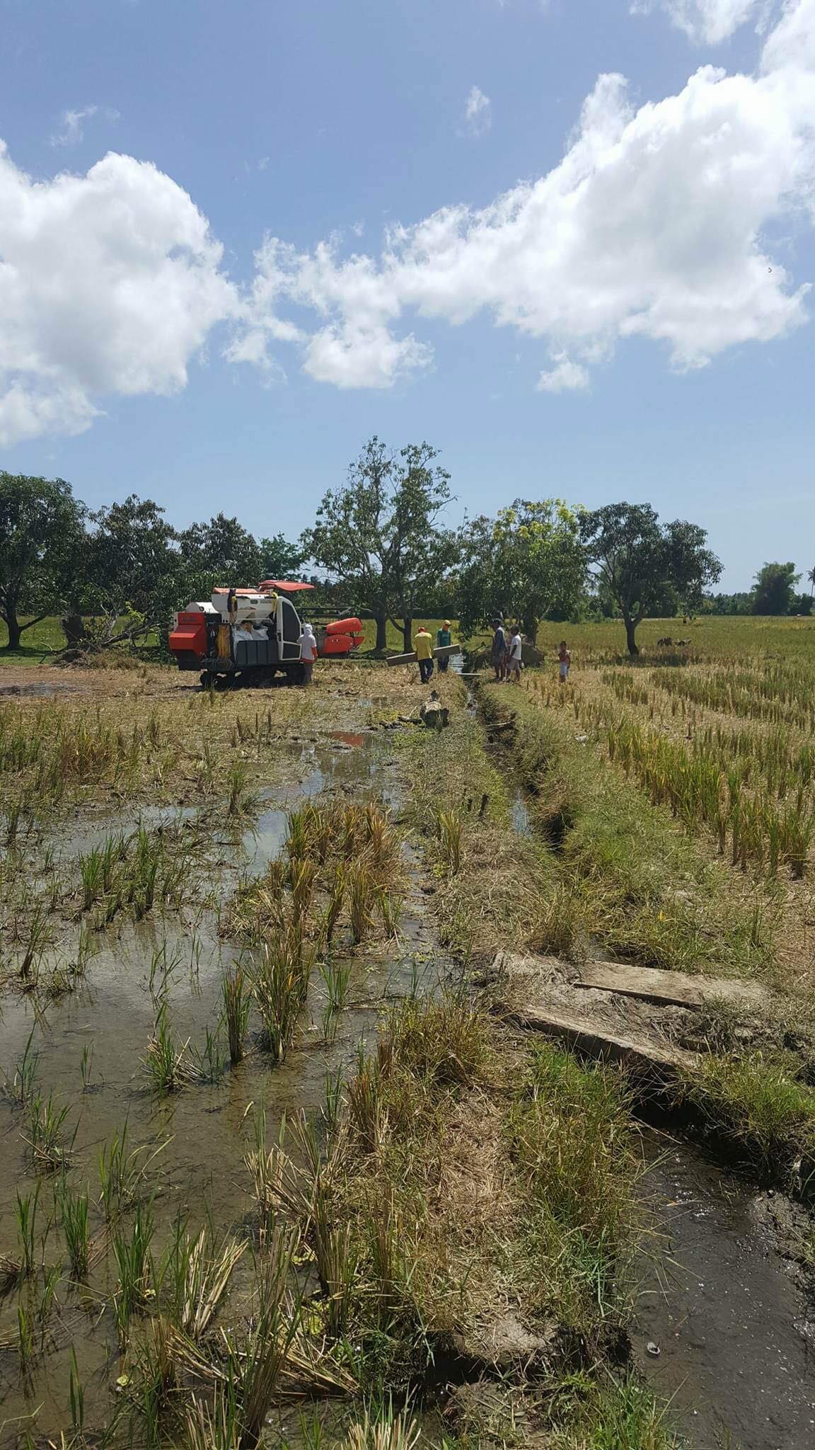 Sulit Bigasan Rice Trading