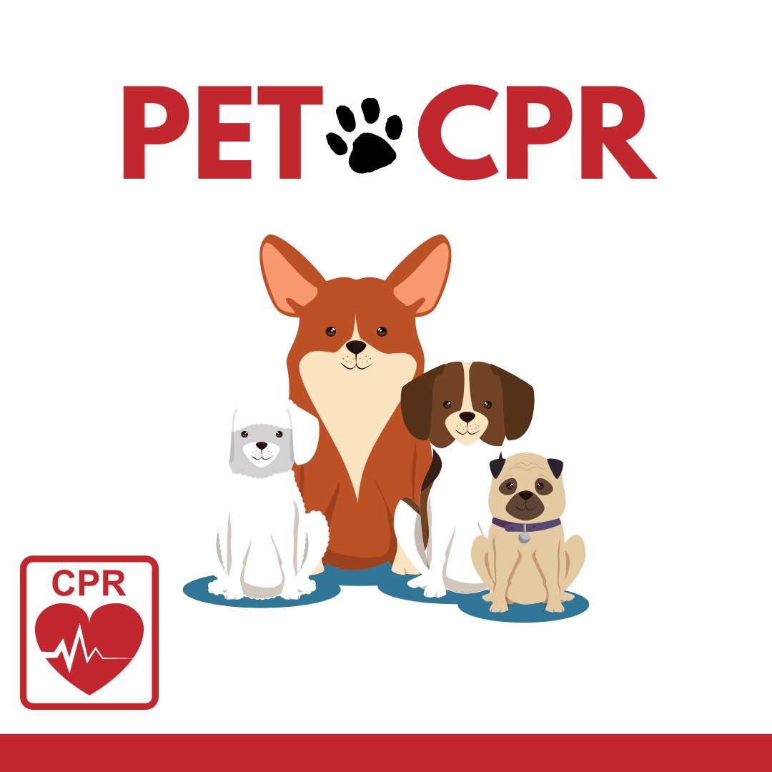 🐾📚 CPR for Your Furry Friend! 🚑💕... - Canine Humane Network | Facebook