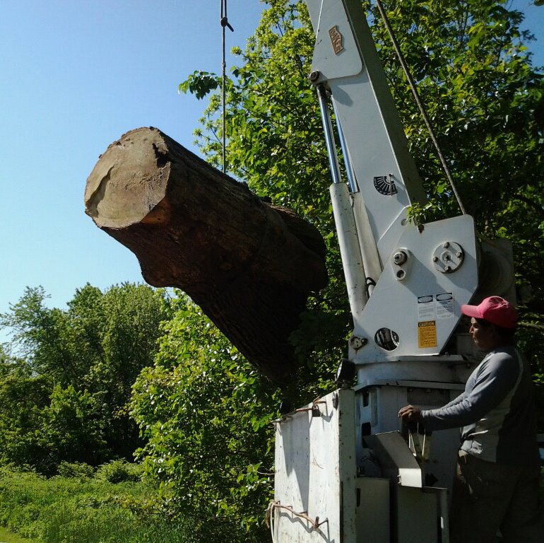 Anthony Landscaping & Tree Service 610-394-9445 | Clifton Heights PA