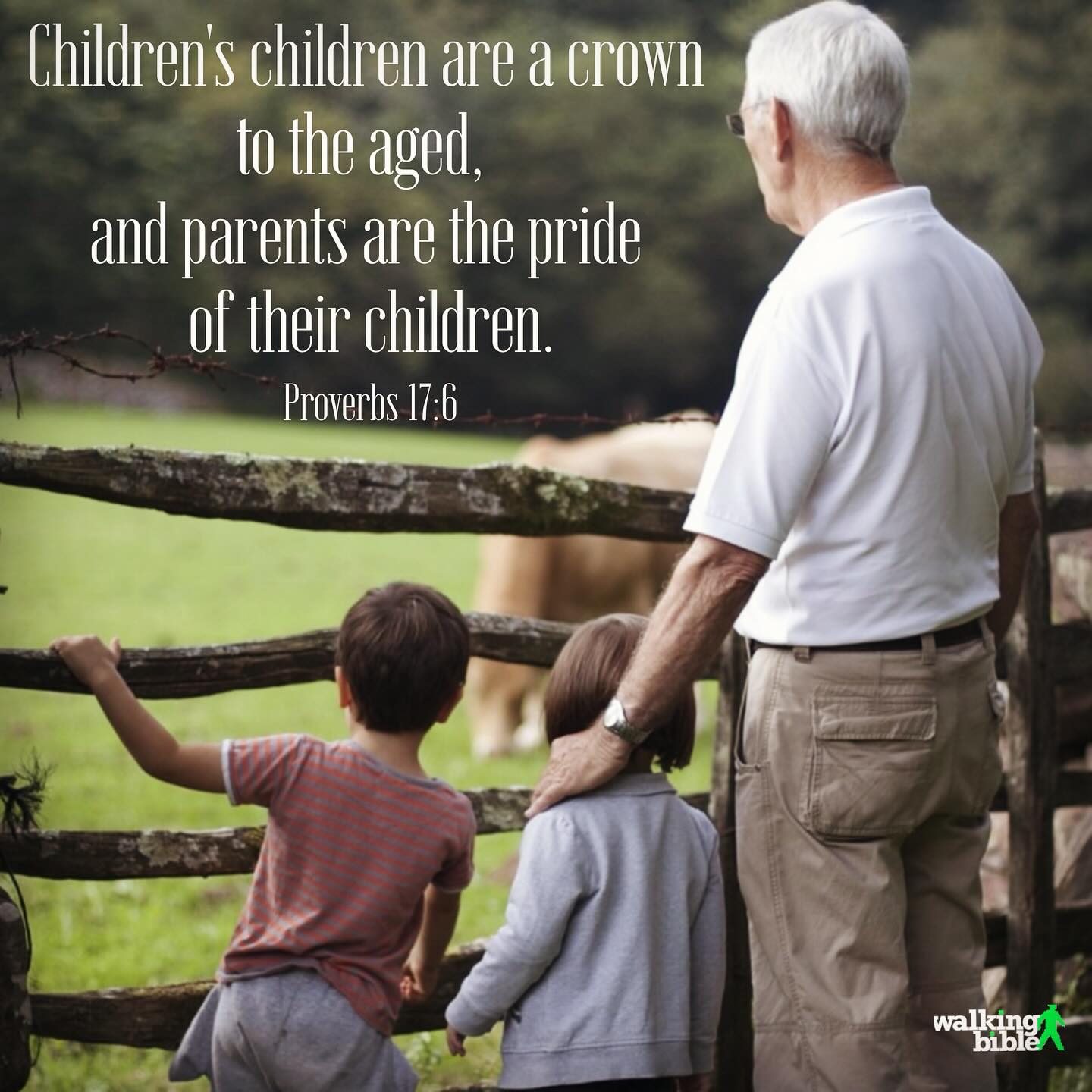 WalkingBible - Proverbs 17:6 Be thankful for your family.... | Facebook