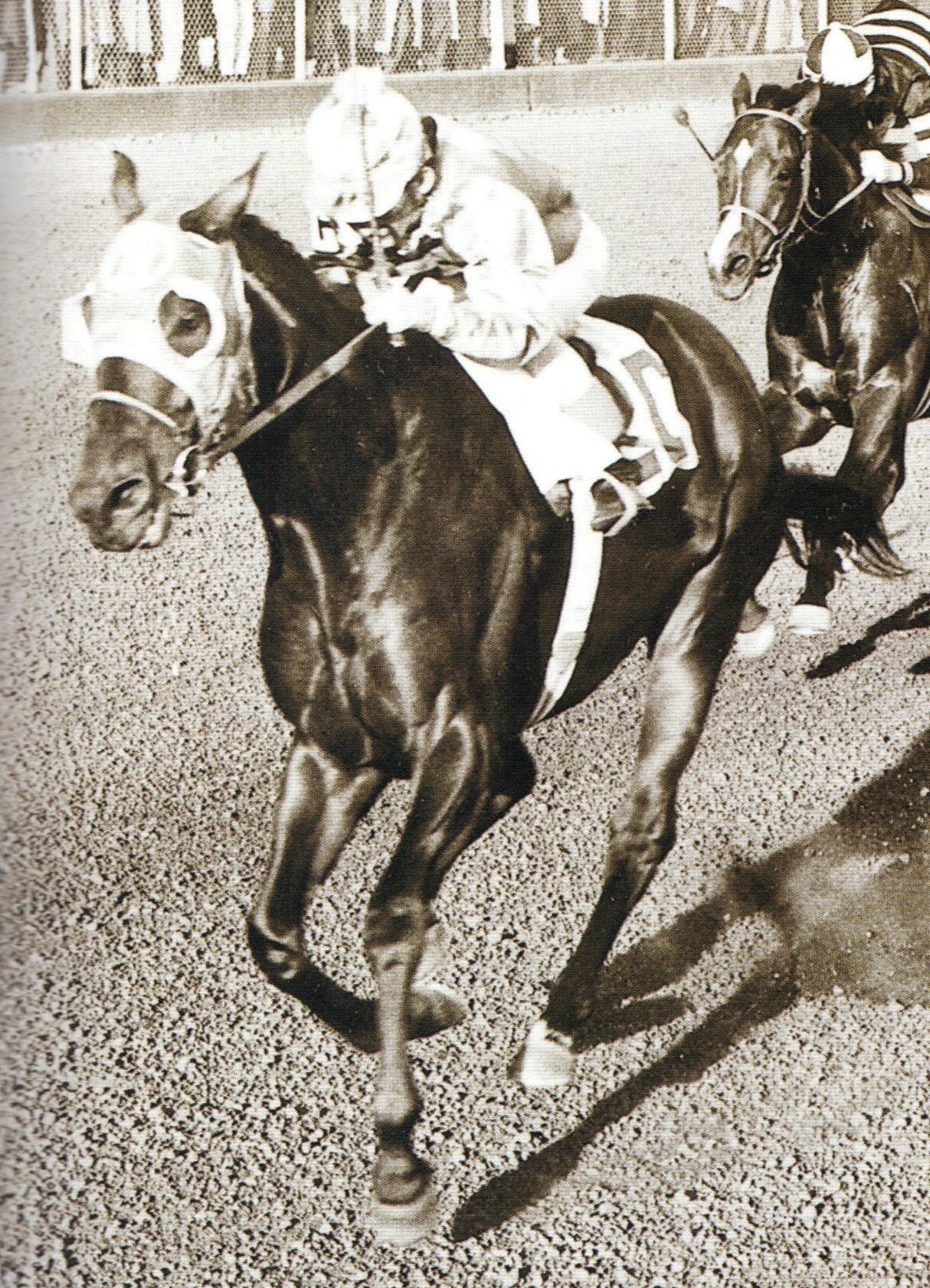American - Round Table (foaled 1954, died 1987) was one of the most ...