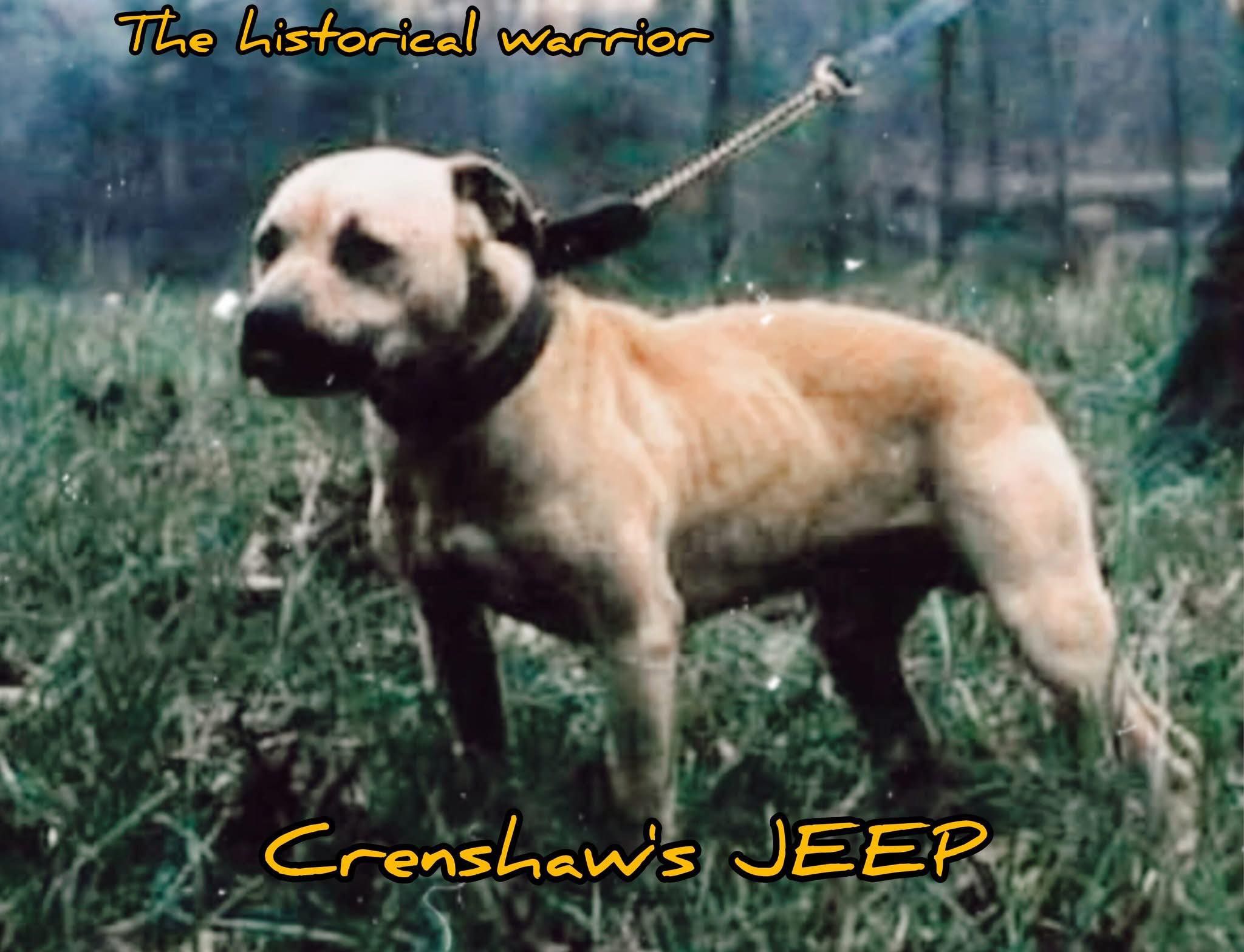 Legendary bulldog Ch Crenshaw's Jeep