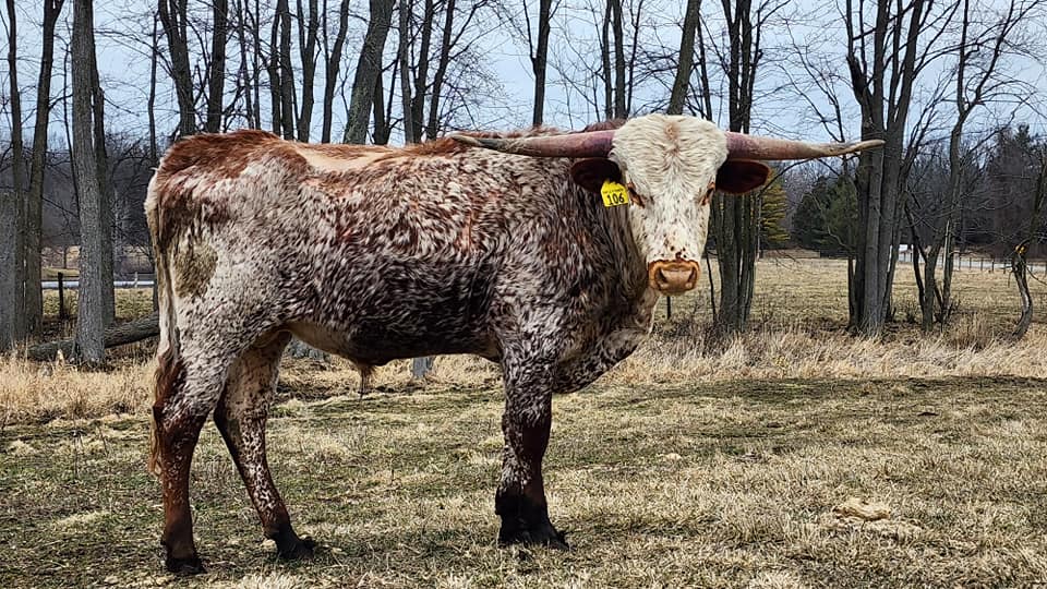 Triple-R-Ranch - FOR SALE! $2500.00 Measurements...