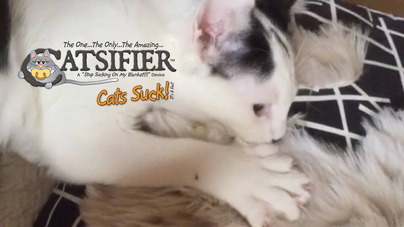 Catsifier