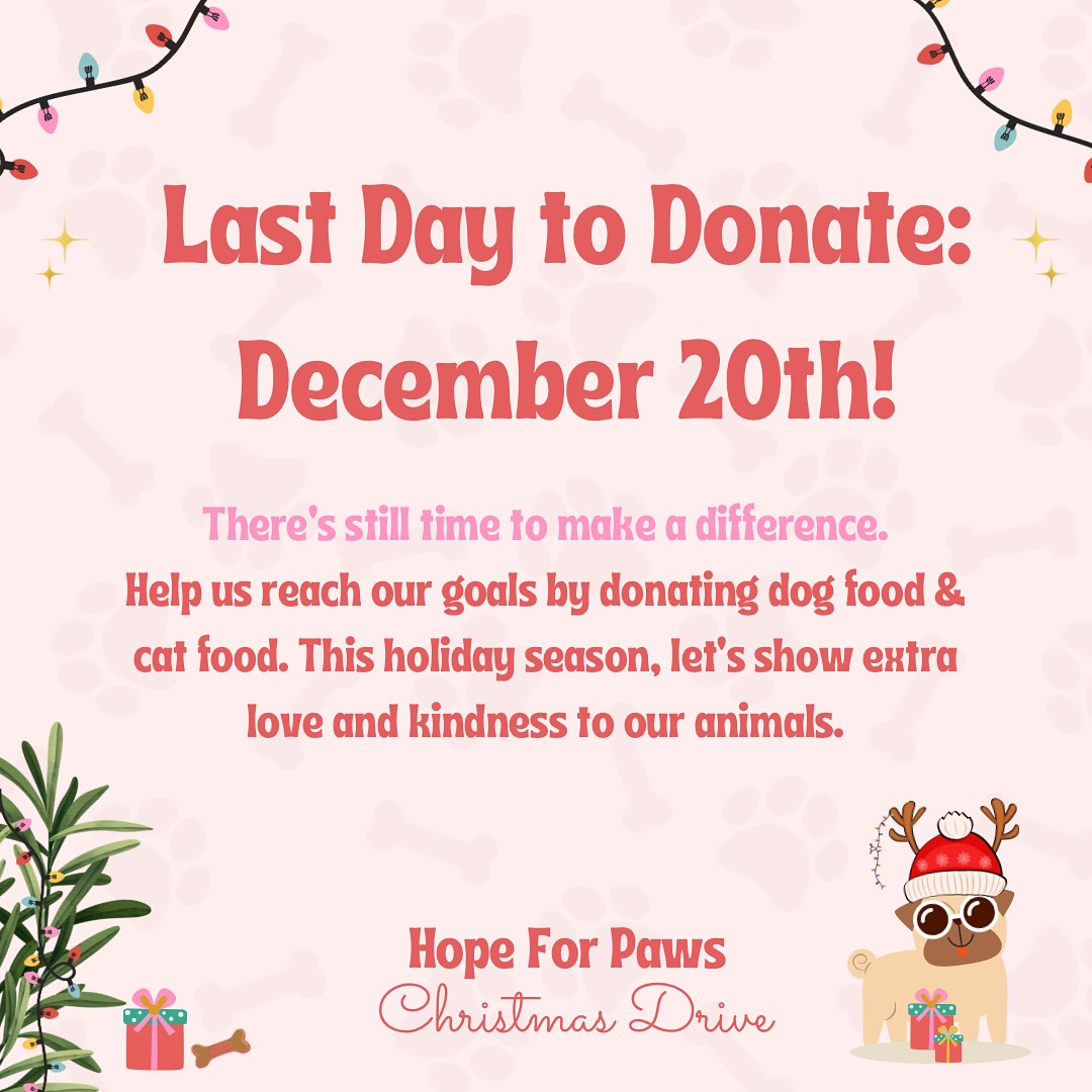 Hope for Paws Drive